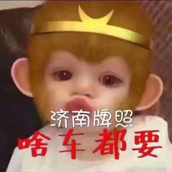 买新车或者二手车购买哪款车型比较合适?