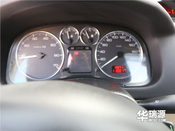 个性威俊小狮子，标志307手工爱乐版