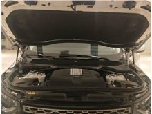 济南路虎 发现(进口) 2017款 第五代 3.0 V6 S