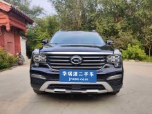 济南广汽传祺-传祺GS8-2017款  320T 两驱豪华版（七座）