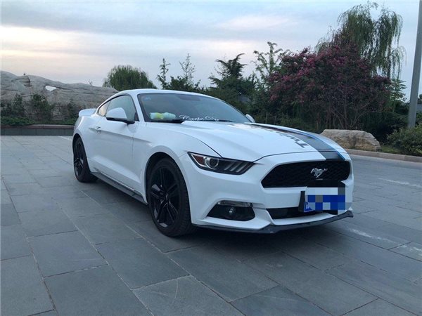 福特 野马(进口) 2016款 2.3t 运动版